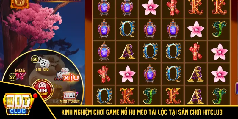 Kinh nghiệm chơi game nổ hũ Mèo Tài Lộc tại sân chơi HITCLUB